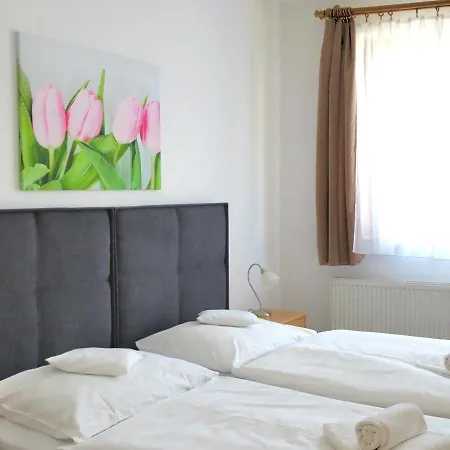 Hotel U Brany 3*