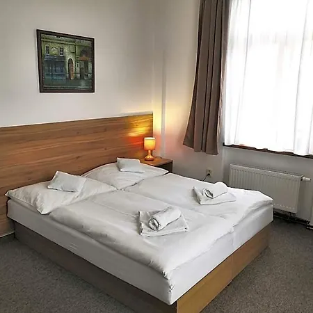 Hotel U Brany 3*